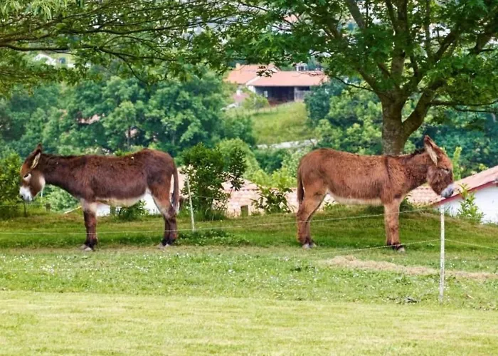 Artzamendi By Interhome * Louhossoa