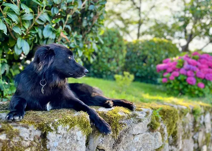 Appartement Artzamendi By Interhome *